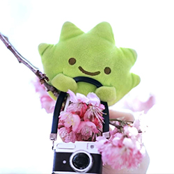 雜草種植